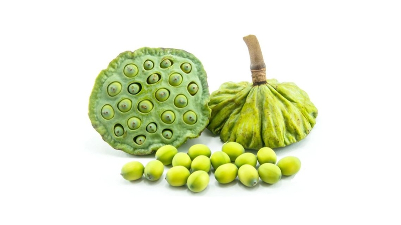 Hạt sen được bóc từ đài sen, phơi khô để dùng dần