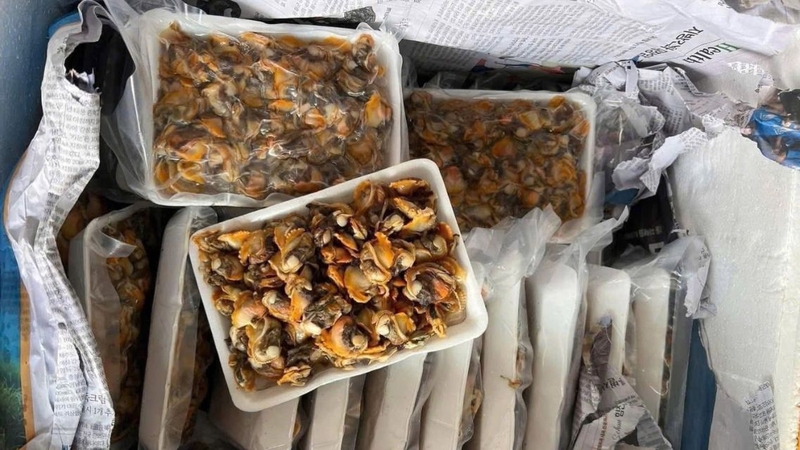 Sò huyết chín vẫn có thể bảo quản để dùng dần