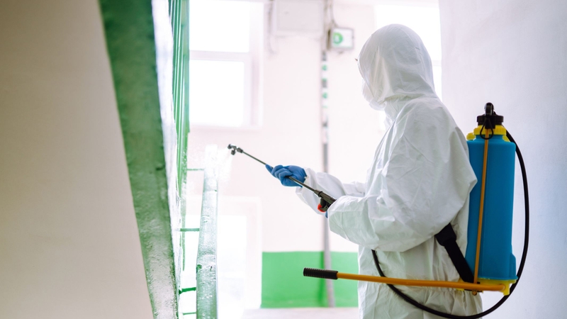 Người dân nên vệ sinh và khử khuẩn môi trường sống để loại bỏ để tránh nấm mốc và vi khuẩn tồn lưu