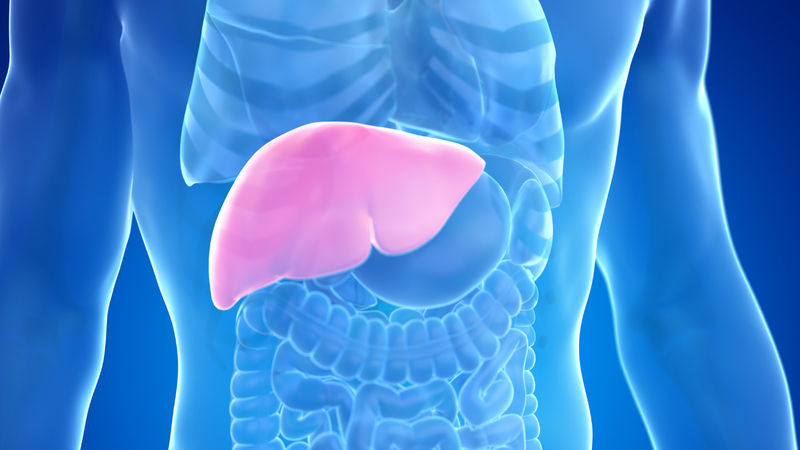 Nguyên nhân phổ biến nhất là do xơ gan