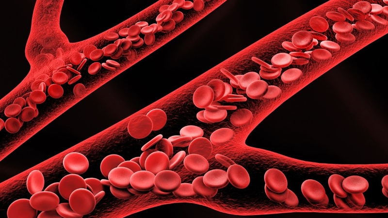 Chỉ số hồng cầu lưới trong giới hạn bình thường phản ánh cơ thể khỏe mạnh