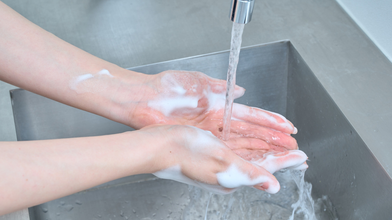 Checklist phòng ngừa vi khuẩn Salmonella trong gia đình